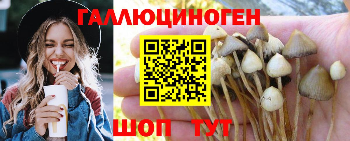 Галлюциногенные грибы GOLDEN TEACHER  Вход с VPN  Нурлат 